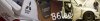 Lee 4.jpg