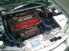 Pic_0309_001.jpg