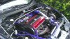 IMAG0345.jpg