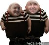twins.jpg