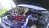IMAG0409.jpg