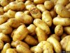 the real spud.jpg