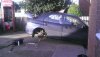 IMAG0658.jpg