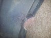bumper6.jpg