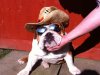 rocco edited (624 x 468).jpg