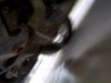 221701_10150169354842470_513277469_7099290_5023858_n.jpg 221701_10150169354842470_513277469_7099290_5023858_n.jpg