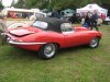 fish and cars 079.JPG