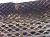 iphone pics 2 011.jpg
