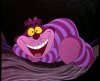 cheshire.jpg