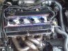 DSC00337.JPG