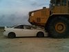 IMG01873-20101018-1701.jpg