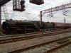 DSC00186.jpg