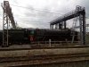DSC00184.jpg