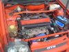 DSC00318.JPG