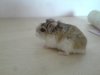 DSC00649.JPG