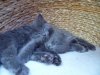 SAM_0227.jpg