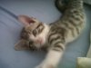 IMG00099-20110625-0835.jpg