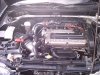 Pict0196.jpg