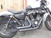 harley 004.jpg