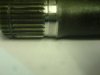 DSC00703.JPG