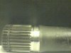 DSC00702.JPG