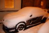 IMG_5532.jpg