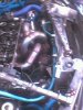 IMG0169A.jpg