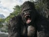 kong.jpg