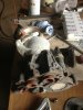 ImageUploadedByTapatalk1364314603.650759.jpg ImageUploadedByTapatalk1364314603.650759.jpg