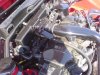 DSC01156.JPG