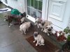 2012-04-29 14.44.11.jpg