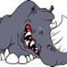Rhino