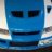 mantar_53